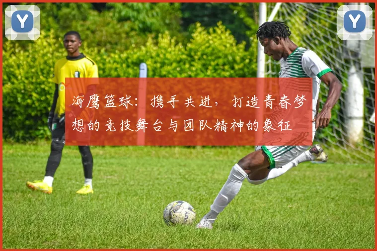 海鹰篮球：携手共进，打造青春梦想的竞技舞台与团队精神的象征