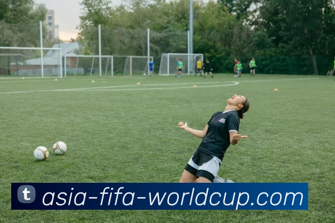 2026世界杯服务体系